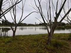 -白鹭湾湿地公园