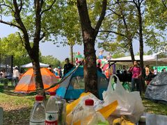 -上海海湾国家森林公园