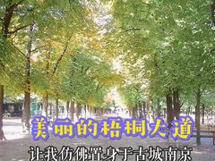 -卢森堡公园