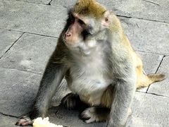 -黔灵山公园