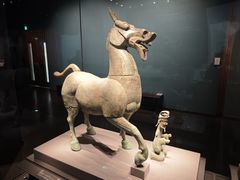 -广西壮族自治区博物馆