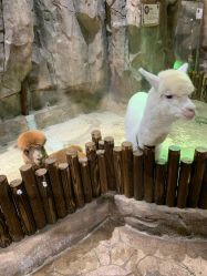 点击看大图 -宝燕乐园(闵行旗舰店)