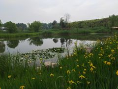 -同里国家湿地公园