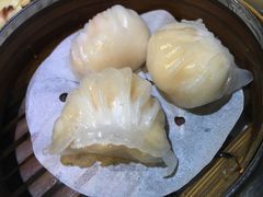 -糖朝(尖沙咀店)