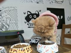 -小时光咖啡馆(开森度假森林店)