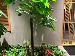 -合和大唐(江夏纸坊店)