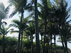-白沙门生态公园