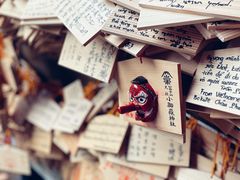 -富士山吉田線五合目