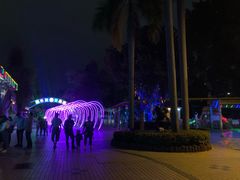 -金砂公园