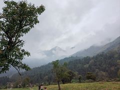 -硗碛藏寨·神木垒景区