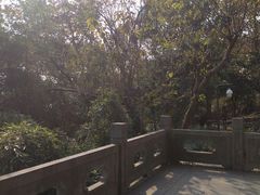 -吴山景区
