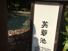 -汇雅温泉