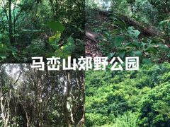 -马峦山郊野公园