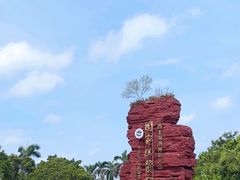 -涠洲岛火山国家地质公园