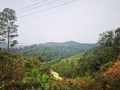 -天鹿湖森林公园