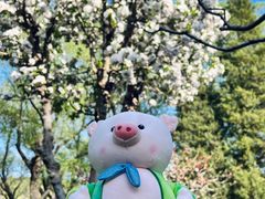 -颐和园