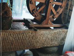 大堂-冯记白土岗辣子鸡