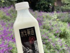 -盒马鲜生(公园1903店)