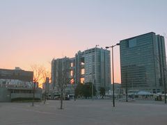 -台场海滨公园船码头