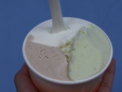 -Dip in Gelato(富民路店)