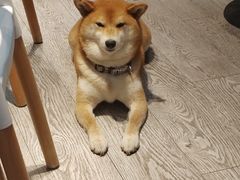 -小时光咖啡馆(北锣鼓巷店)