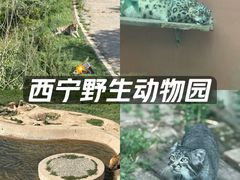 -青藏高原野生动物园