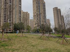 -龙江公园