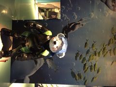 泰迪熊博物馆-成都泰迪熊博物馆