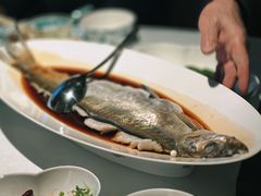 -桂满陇·海市蜃楼·黑金(国金店)