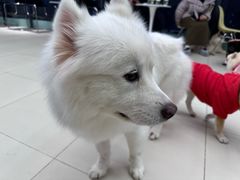 -怪兽屋·羊驼·猫咖·狗咖(俊华广场店)