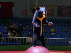 -西安秦岭野生动物园