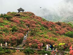 -大围山国家森林公园