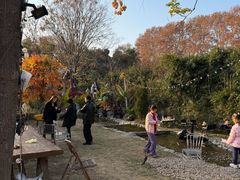 -HERRE·FARM 赫尔露营农场·团建聚会包场