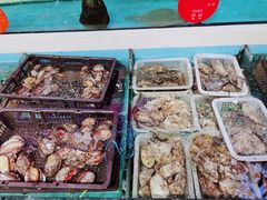 -日进一片海.生腌海鲜火锅.宵夜烧烤(三里屯总店)