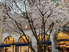 -TORY BURCH(比斯特苏州购物村店)
