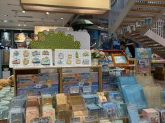 -猫的天空之城概念书店(北戴河蔚蓝海岸店)