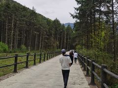 -石棉县孟获城