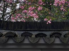 -龙华寺