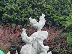 -金鸡山公园