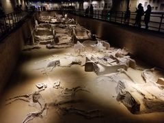 -洛阳周王城天子驾六博物馆