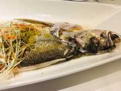 谭延闿南京鱼-民国红公馆·秦淮八艳(夫子庙店)