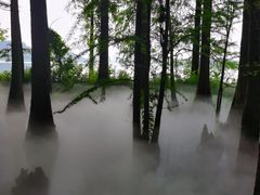 -东湖落雁景区
