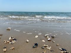 -北戴河东海水浴场