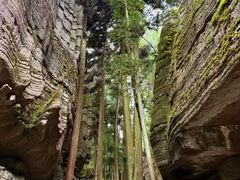 -梭布垭石林景区