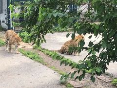 -大连森林动物园