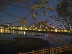 -长白岛森林公园