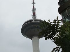 -辽宁电视塔