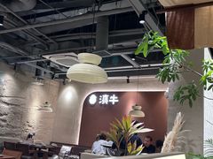 -滇牛云南火锅(桂林路店)