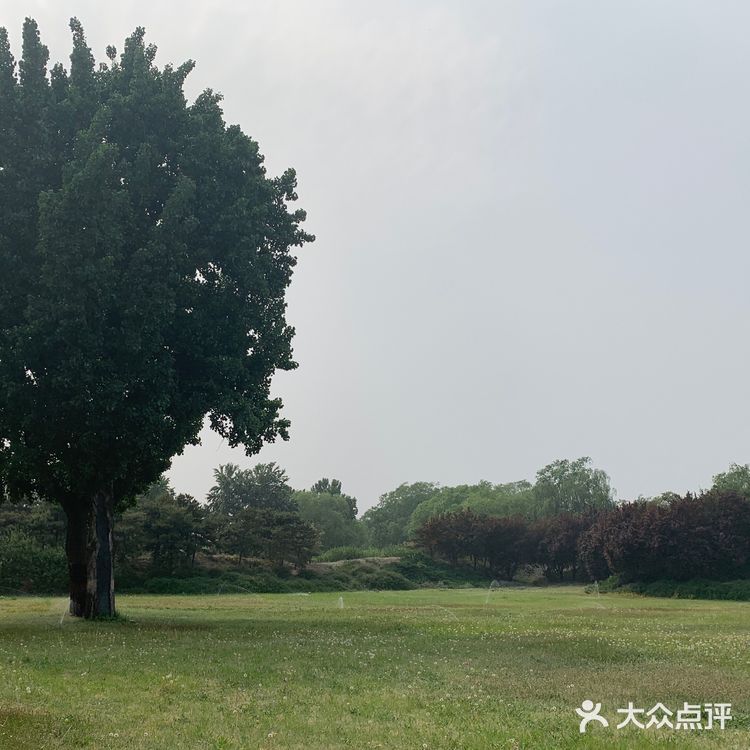 圆明圆-最美的后花园🥀🥀🥀