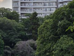 -井之头恩赐公园